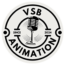 VSB ANIMATION organisateur d'évènement à COUZEIX